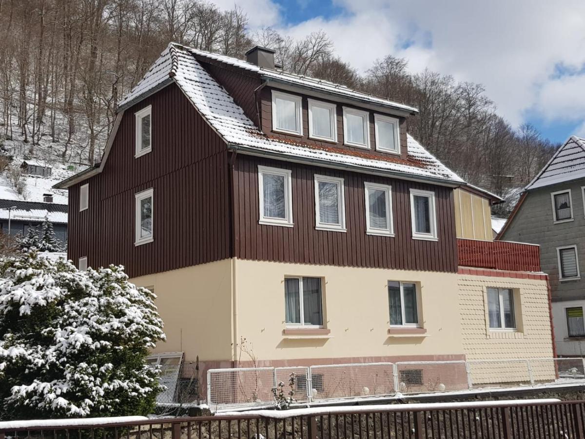 Haus Am Fluss Mit Wunderschoener Dachterrasse Mit Flussblick ,Garten Und Grill Zorge Exterior photo