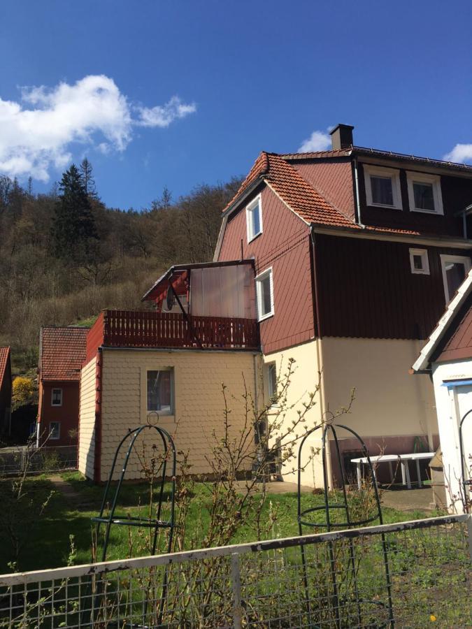 Haus Am Fluss Mit Wunderschoener Dachterrasse Mit Flussblick ,Garten Und Grill Zorge Exterior photo