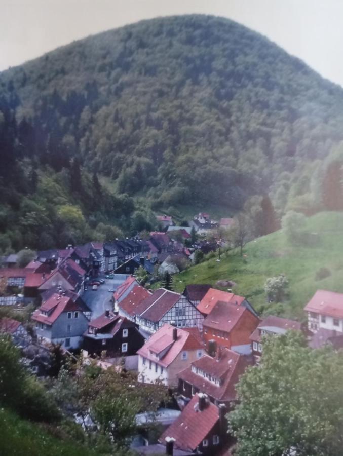 Haus Am Fluss Mit Wunderschoener Dachterrasse Mit Flussblick ,Garten Und Grill Zorge Exterior photo